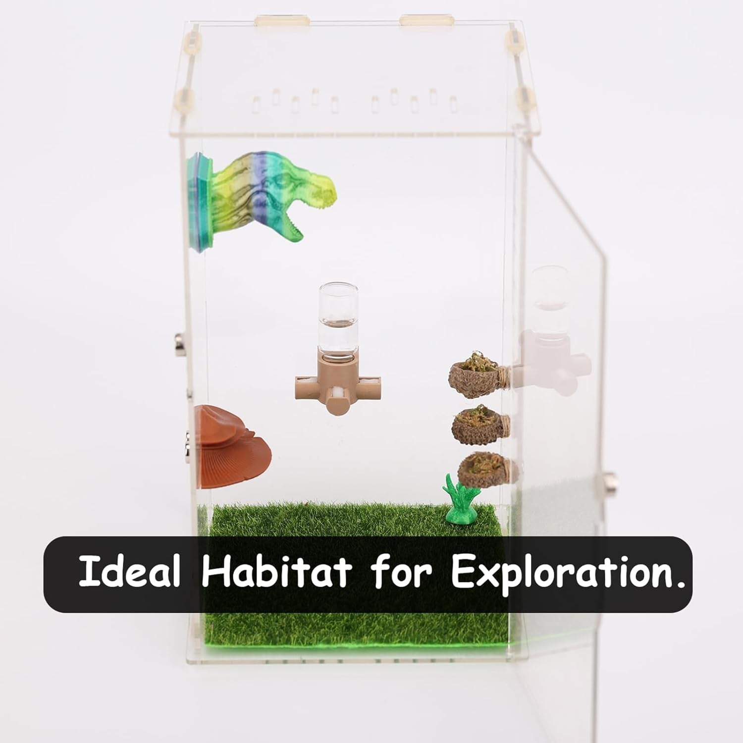 jumping-spider-water-dispenser-magnetic-hanging-feeder-suitable-for-jumping-spiders-tarantulas-praying-mantises-arboreal-animals-and-other-small-animal-enclosure-accessories-5ml-wooden