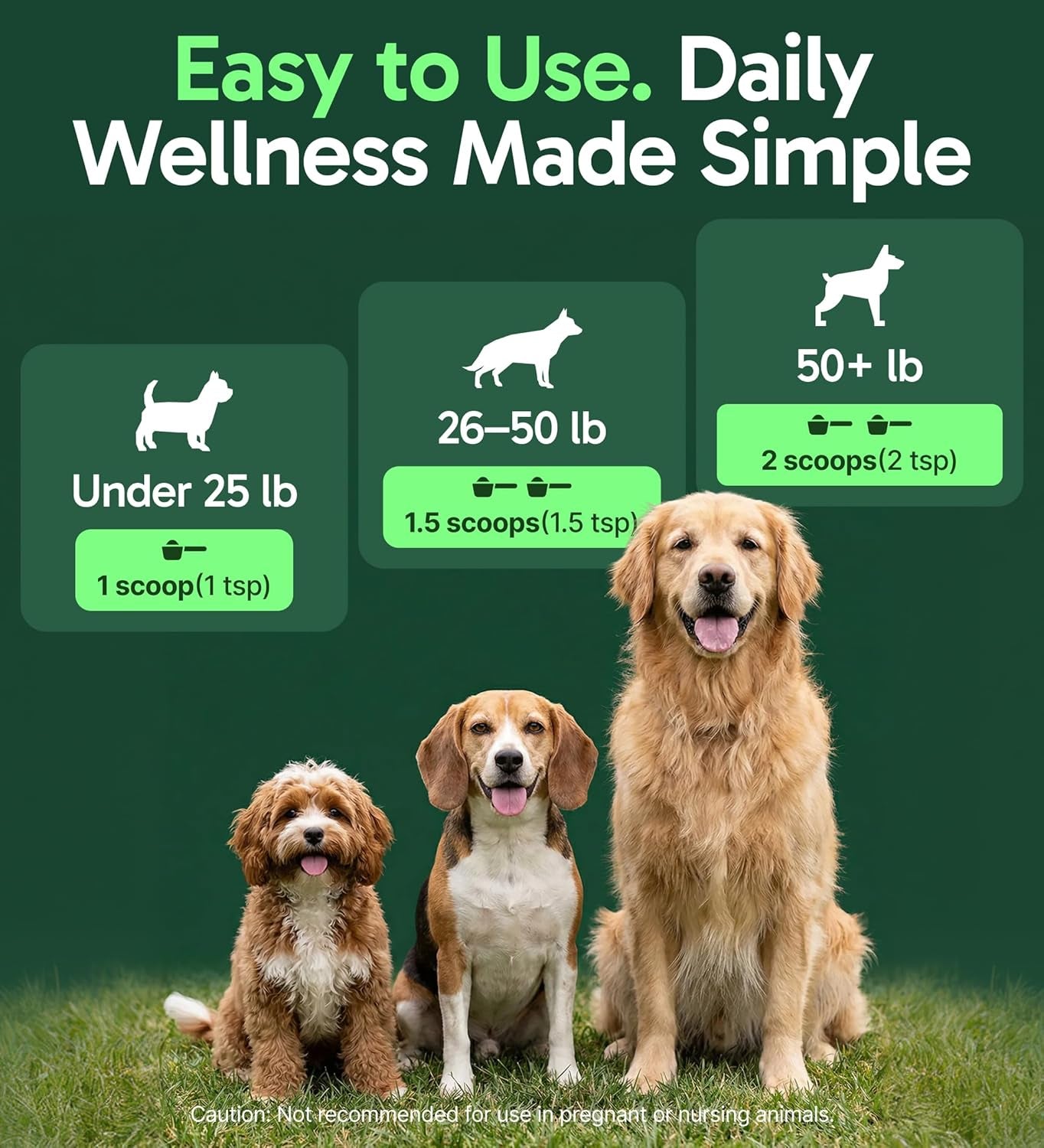 k9-immune-all-natural-mushroom-powder-for-dogs-for-immunity-digestion-joints-energy-antioxidant-rich-usa-made-dog-immune-support-with-turkey-tail-mushroom-for-dogs-30-servings