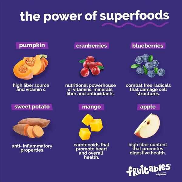 Fruitables Biggies Dog Biscuits, Healthy Treats for Dogs, Doggie Biscuits, Crunchy Pumpkin Treats, Made without Wheat, Corn and Soy, Made in the USA, Pumpkin and Blueberry Flavor, 16Oz7
