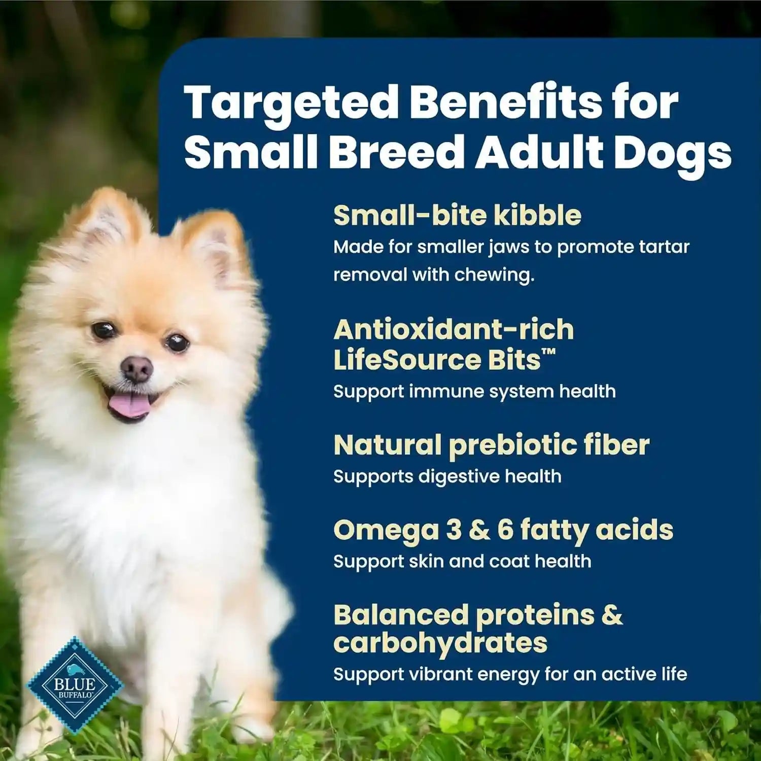 blue-buffalo-life-protection-formula-small-bite-chicken-dry-dog-food-15-lb-smaller-kibble-for-easier-chewing-real-chicken-1-ingredient-supports-immunity-with-antioxidant-rich-lifesource-bits