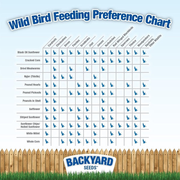 Countrymax Backyard Seeds Squirrel and Friends Wildlife Feed – 20 Lb Non-Gmo Mix for Squirrels, Deer, Birds, Rabbits, Chipmunks & More – All-Natural Backyard Animal Food6