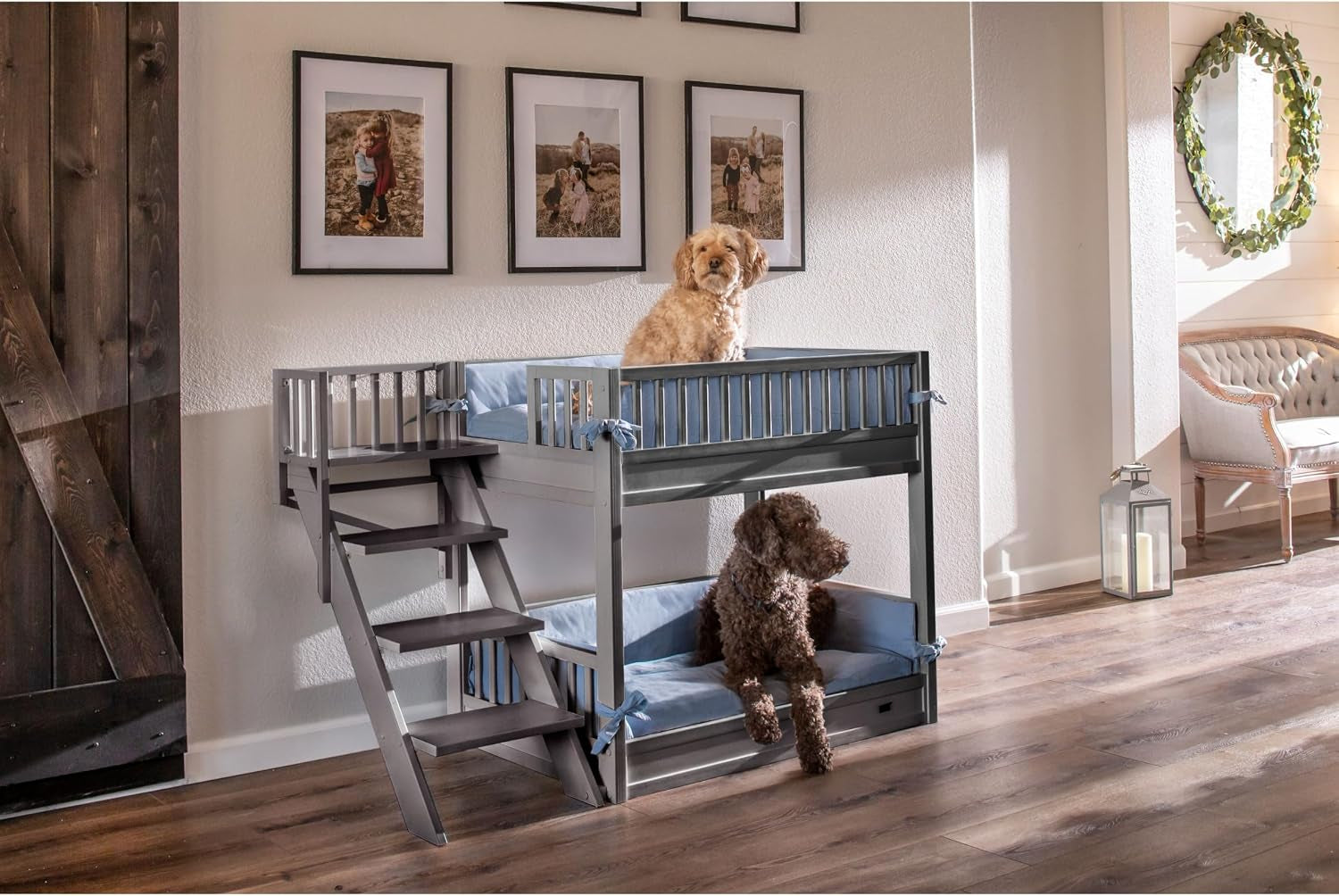 new-age-pet-ecoflex-aspen-dog-bunk-bed-in-grey-memory-foam-cushions-wide-stairs-non-toxic-easy-assembly