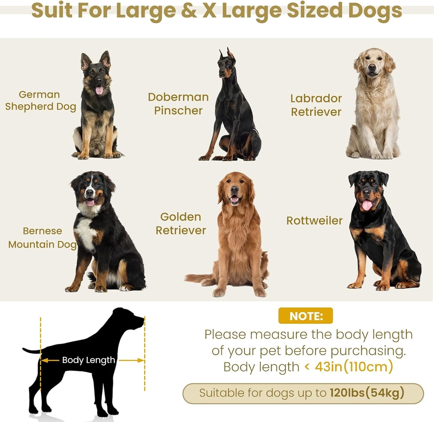 elevated-xl-large-dog-sofa-with-backrest-and-armrests-55-button-tufted-dog-couch-bed-with-soft-cushion-for-large-dogs-stylish-lounging-bed-pet-couch-chair-120lbs-weight-capacity-beige