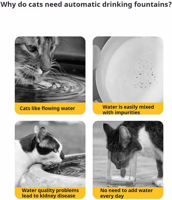 Ceramic Cat Water Fountain -50Oz/1.5L Cat Fountain for Drinking- Pet Water Fountain for Cats Indoor - Automatic Water Dispenser Bowl - Cat Feeding & Watering Supplies for Small Dog，Black7