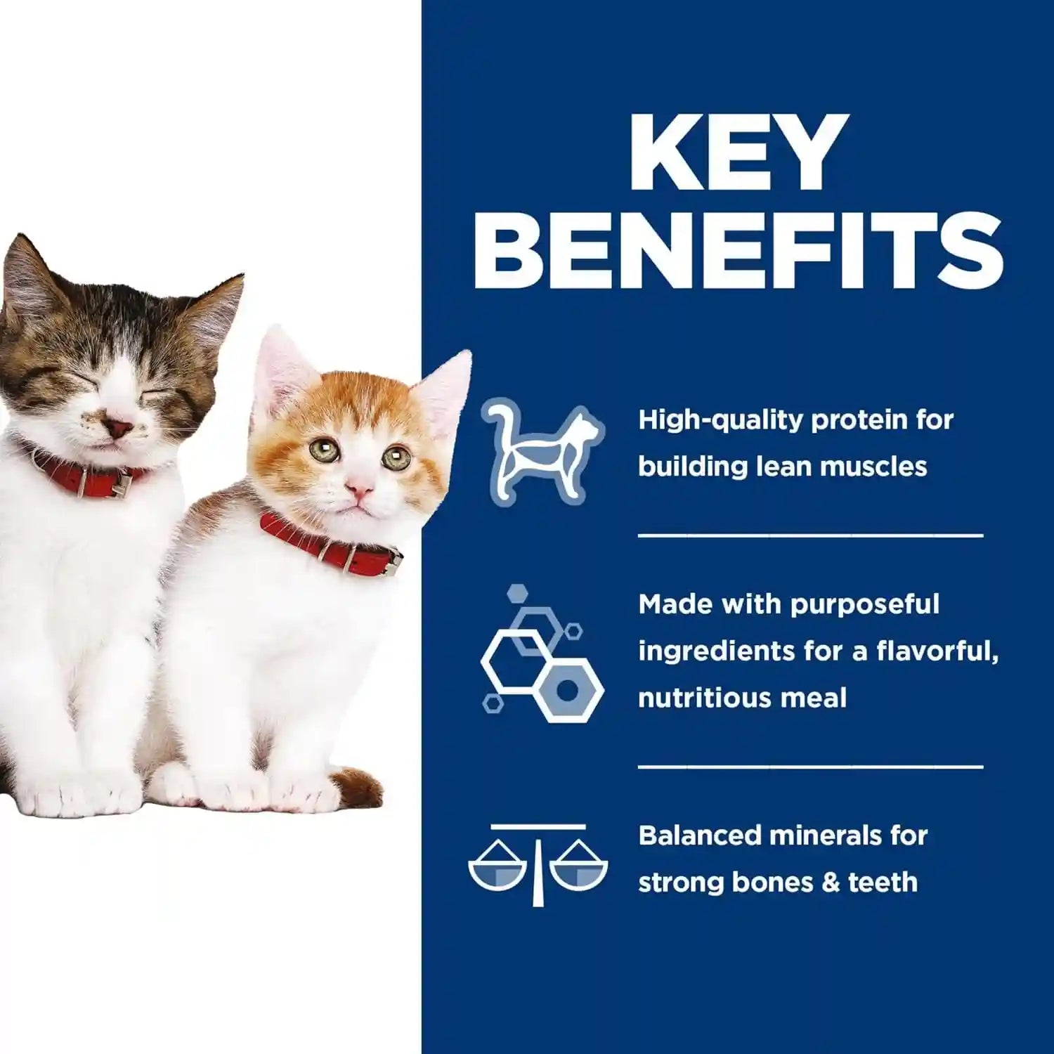 hills-science-diet-kitten-formula-wet-cat-food-variety-pack-1-veterinarian-recommended-liver-chicken-and-minced-salmon-2-9-oz-cans-12-pack