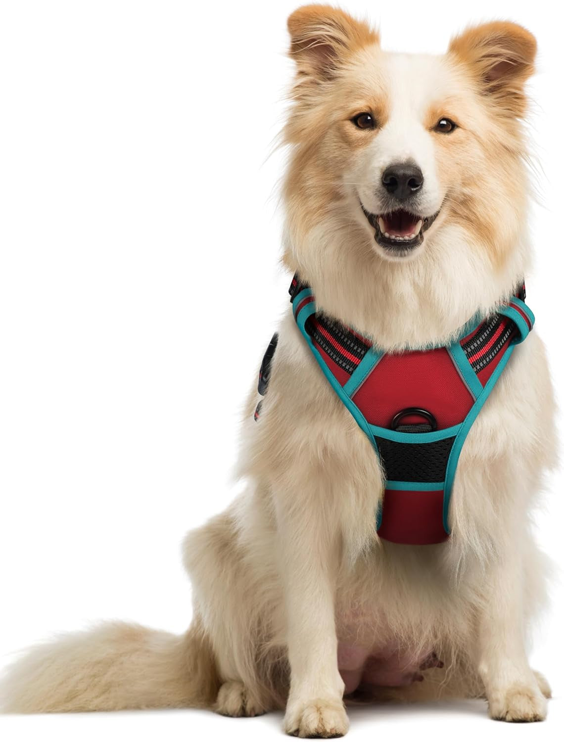 rabbitgoo-dog-harness-no-pull-for-large-dogs-with-2-leash-clips-pet-vest-no-choke-with-handle-adjustable-soft-padded-reflective-easy-control-for-walking-black-large