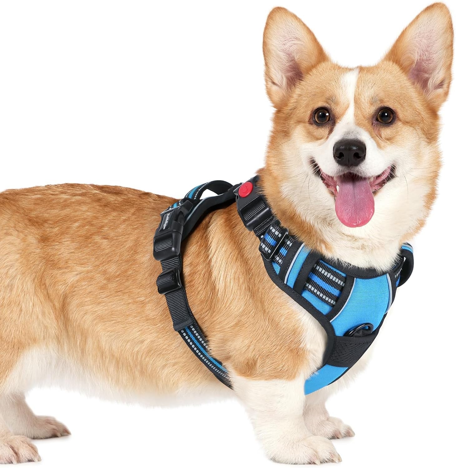 rabbitgoo-dog-harness-medium-sized-updated-easy-on-off-with-3-buckles-no-pull-no-choke-walking-with-2-clips-and-handle-adjustable-soft-reflective-blue-medium