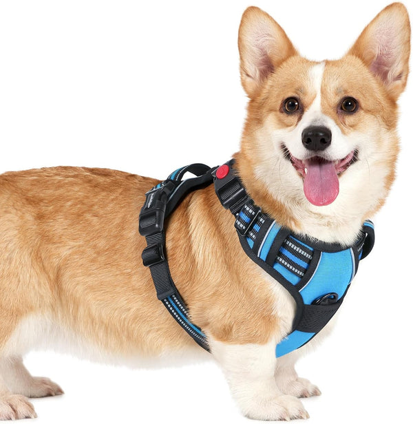 Rabbitgoo Dog Harness Medium Sized, Updated Easy on & off with 3 Buckles | No Pull No Choke, Walking with 2 Clips and Handle, Adjustable Soft Reflective, Blue, Medium18
