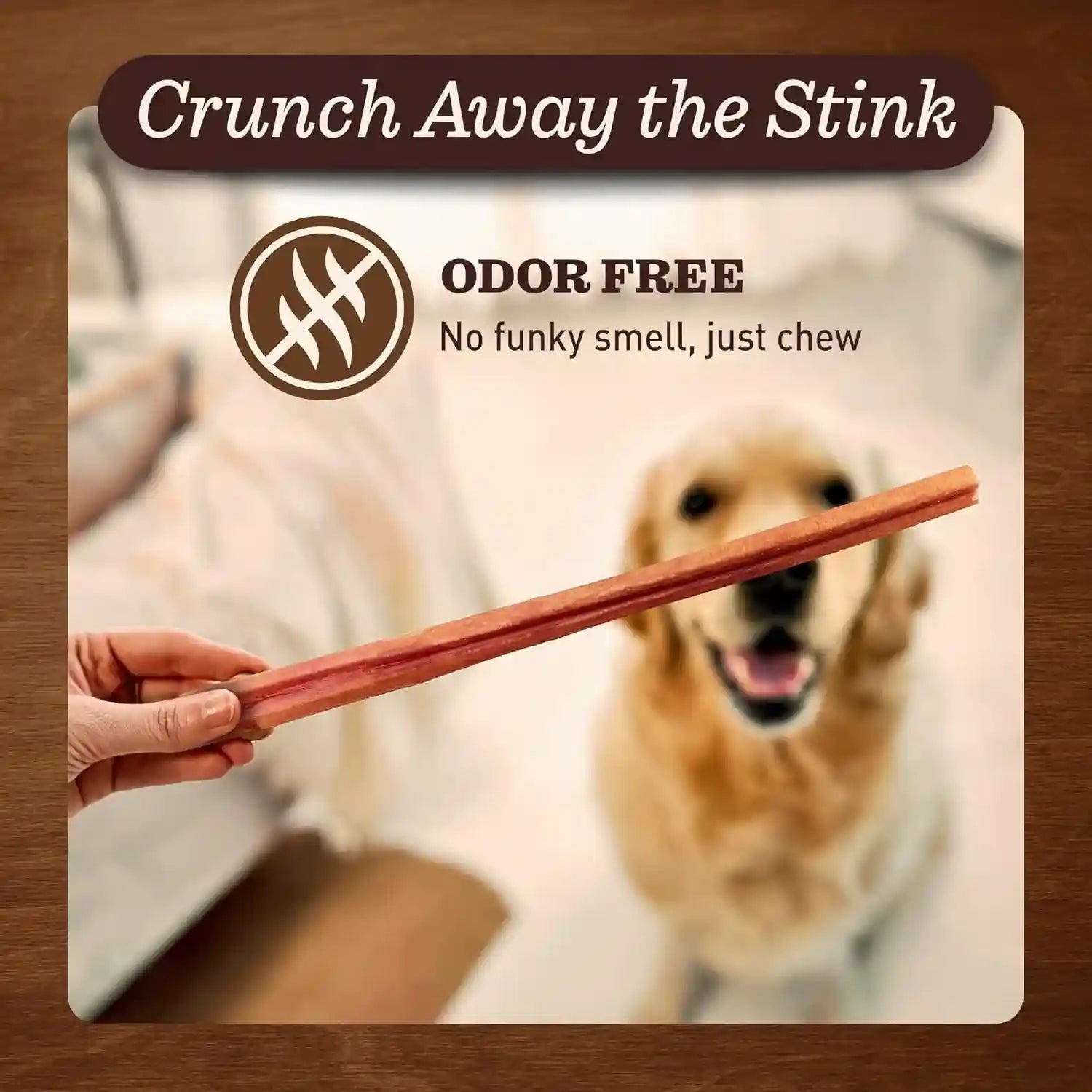 pet-odor-free-standard-bully-sticks-12-5-pack-100-grass-fed-beef-pizzle-dog-chews-fully-digestible-long-lasting-dental-treats