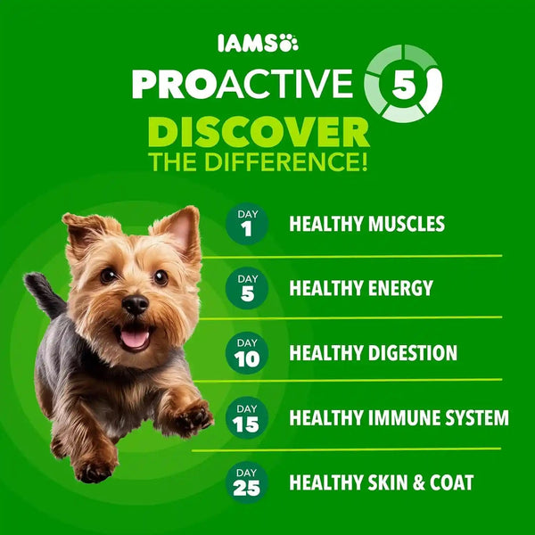 IAMS Proactive Health Small Breed Dry Dog Food, Chicken & Grain, 15 Lb | Real Chicken #1 Ingredient, Small Kibble for Small Mouths, Natural Fiber & Prebiotics, No Fillers or Artificial Flavors2