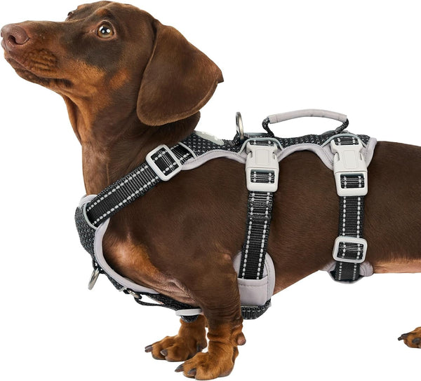 Huntboo Escape Proof Harness, No Slip Dog Harness Escape Proof, Fully Reflective Harness with Handle, Breathable, Durable, Adjustable Vest for Medium Dogs Walking and Training Gear (Black, M)12