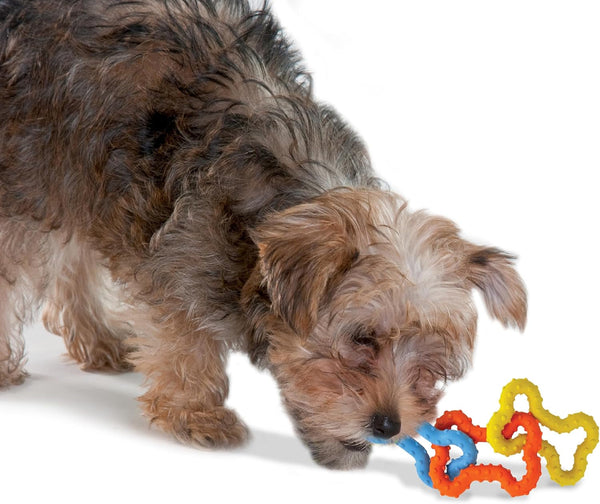 Petstages Mini Bone Tug Puppy Chew Toy6