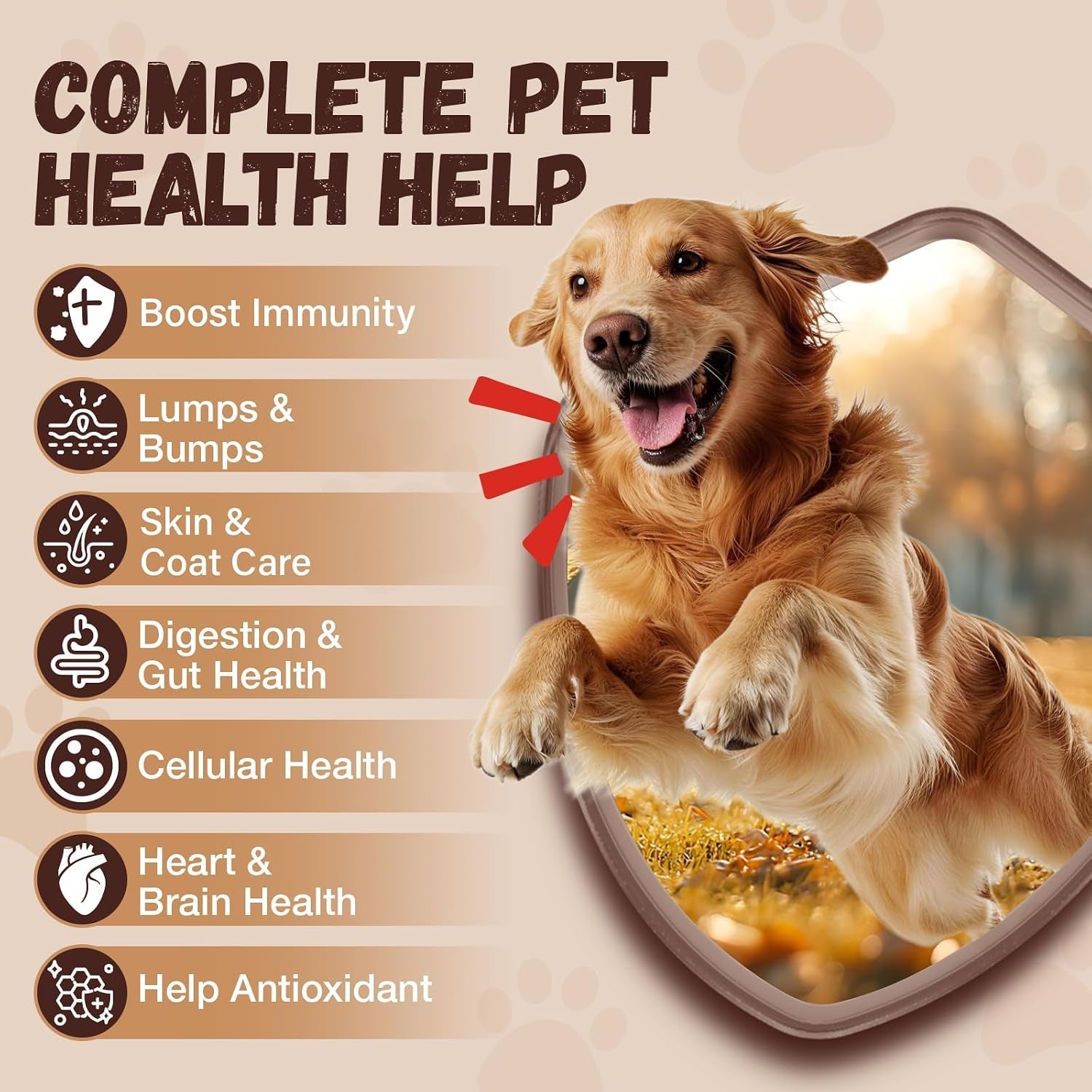 turkey-tail-mushroom-for-dogs-with-probiotics-mushroom-supplement-for-dogs-lumps-and-bumps-reishi-lions-mane-immune-boost-gut-health-lipoma-joint-skin-support-multivitamin-120-chews