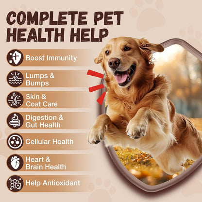 Turkey Tail Mushroom for Dogs with Probiotics - Mushroom Supplement for Dogs Lumps and Bumps, Reishi, Lion'S Mane - Immune Boost, Gut Health, Lipoma, Joint & Skin Support Multivitamin, 120 Chews3