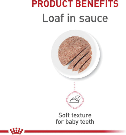 ROYAL CANIN Feline Health Nutrition Kitten Loaf in Sauce Cat Food, 3 Oz (Pack of 24)3