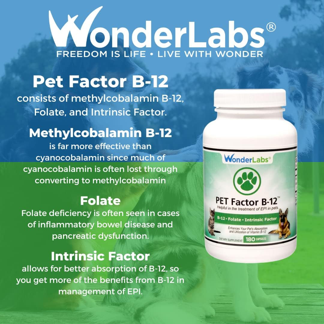 pet-factor-b-12-vitamin-b-12-in-methylcobalamin-form-popular-in-treatment-of-epi-in-dogs-180-capsules
