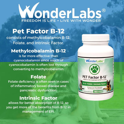 Pet Factor B-12 | Vitamin B-12 in Methylcobalamin Form | Popular in Treatment of EPI in Dogs 180 Capsules7