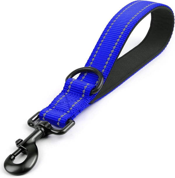 Joytale Short Dog Leash for Close Control & Training, 18", Black | Padded Comfort Handle, Reinforced Nylon Webbing, Secure Metal Clip, for Busy Streets & Heel Training15