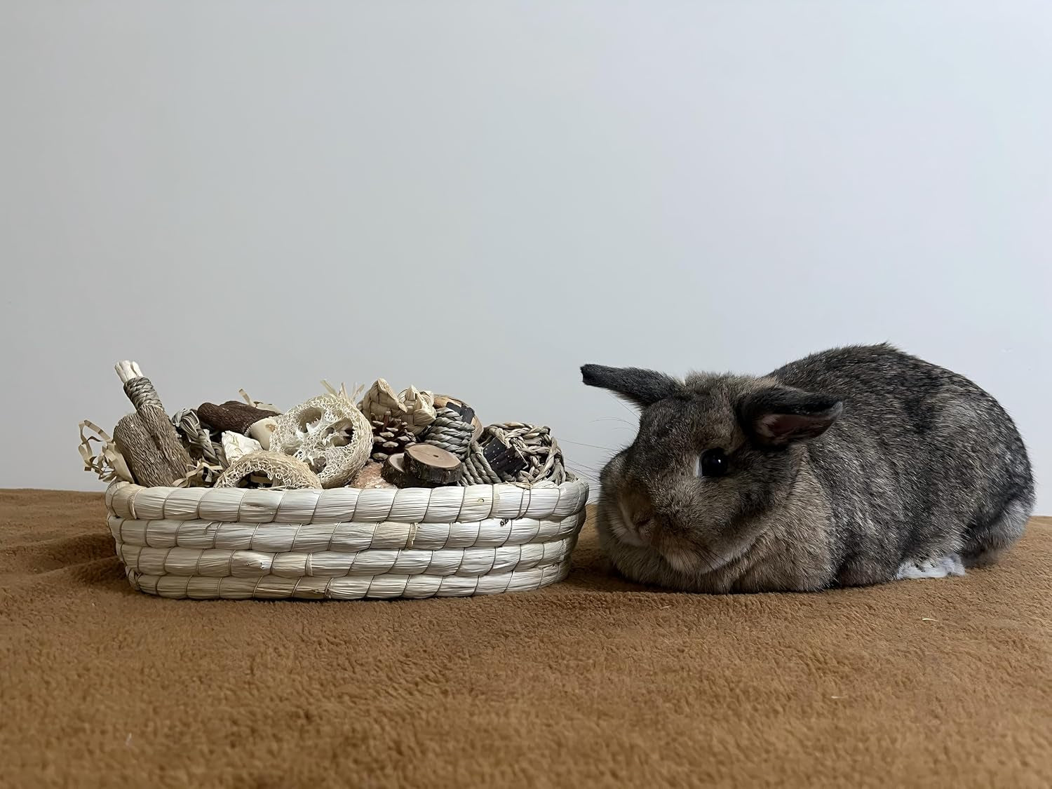 31pcs-rabbit-chew-treat-toys-for-teeth-health-natural-bunny-enrichment-toys-for-boredom-stress-relief-keep-busy-toys-for-guinea-pig-chinchilla-hamster-rat-gerbil-degu-indoor-outdoor