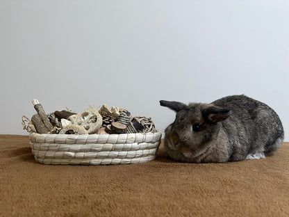 31PCS Rabbit Chew Treat Toys for Teeth Health, Natural Bunny Enrichment Toys for Boredom & Stress Relief, Keep Busy Toys for Guinea Pig Chinchilla Hamster Rat Gerbil Degu Indoor Outdoor8