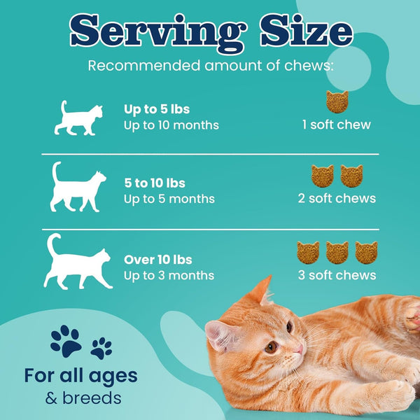 Flea Treatment for Cats-300 Treats Natural Flea and Tick Prevention for Cats Chewable, Itchy Skin &Biting Relief Immune &Gut Health Oral Flea Supplement for Kittens-All Cats Made in USA Chicken Flavor7