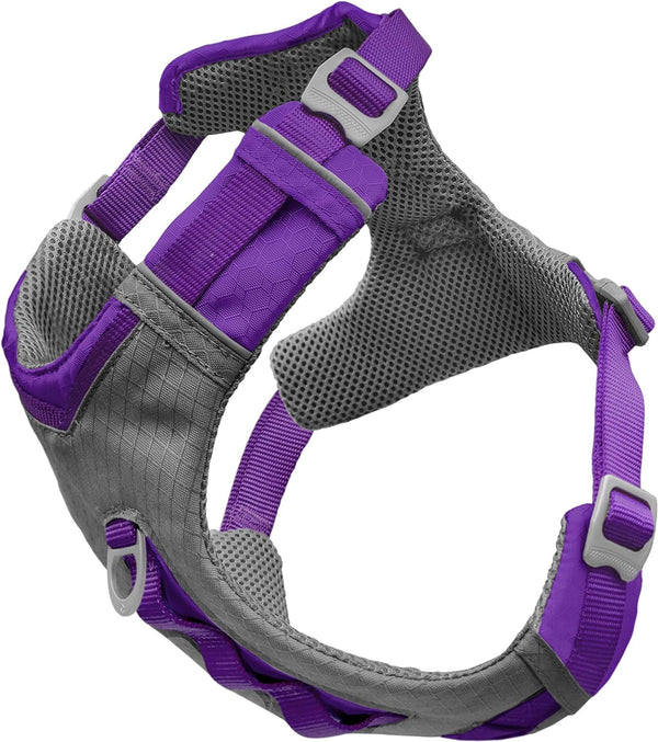 Kurgo Journey Air Dog Harness, Blue, Small | Padded Chest, Ripstop Outer & Breathable Mesh, Back Assist Handle, Rust-Free Aluminum Hardware, Reflective Trim14