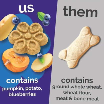 Fruitables Biggies Dog Biscuits, Healthy Treats for Dogs, Doggie Biscuits, Crunchy Pumpkin Treats, Made without Wheat, Corn and Soy, Made in the USA, Pumpkin and Blueberry Flavor, 16Oz4