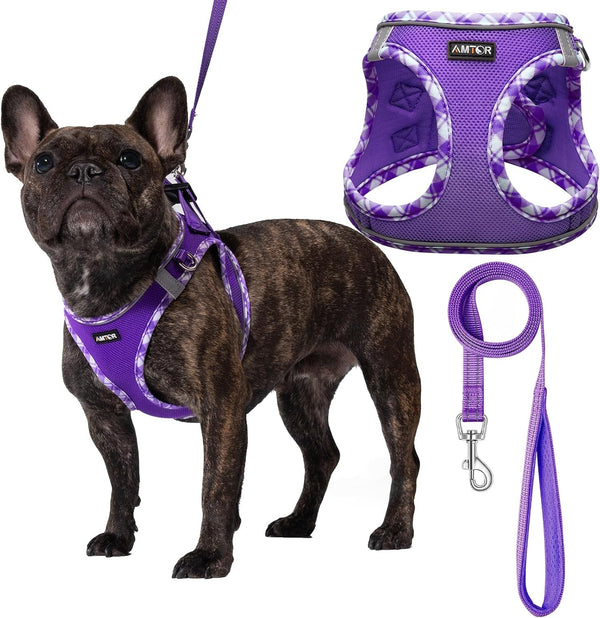 AMTOR Small Dog Harness with Leash Set, No Escape Easy Walk Puppy Harnesses for Training Walking, Step-In Reflective Soft Dogs Vest for XS S Medium Extra-Small Large Sized Dog(Green,S)9
