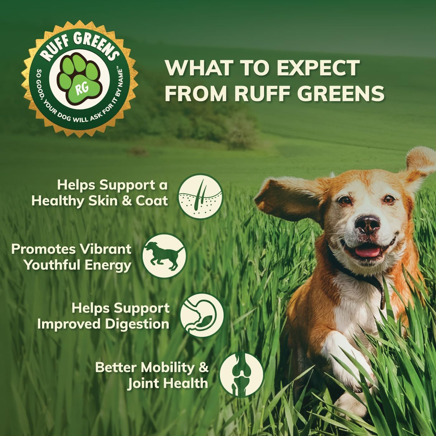 dog-food-topper-for-dogs-vitasmart-powder-with-25-vitamins-minerals-15-probiotics-20-digestive-enzymes-gut-immune-skin-mobility-support-all-breeds-ages-ruff-greens-6-9oz-with-25-vitamins-minerals-15-probiotics-20-digestive-enzymes-gut-immune-skin-mobility-support-all-breeds-ages