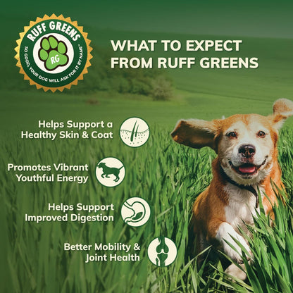 Dog Food Topper for Dogs – Vitasmart Powder with 25 Vitamins & Minerals, 15 Probiotics & 20 Digestive Enzymes – Gut, Immune, Skin & Mobility Support – All Breeds & Ages – Ruff Greens 6.9Oz | with 25 Vitamins & Minerals, 15 Probiotics & 20 Digestive Enzymes – Gut, Immune, Skin & Mobility Support – All Breeds & Ages5