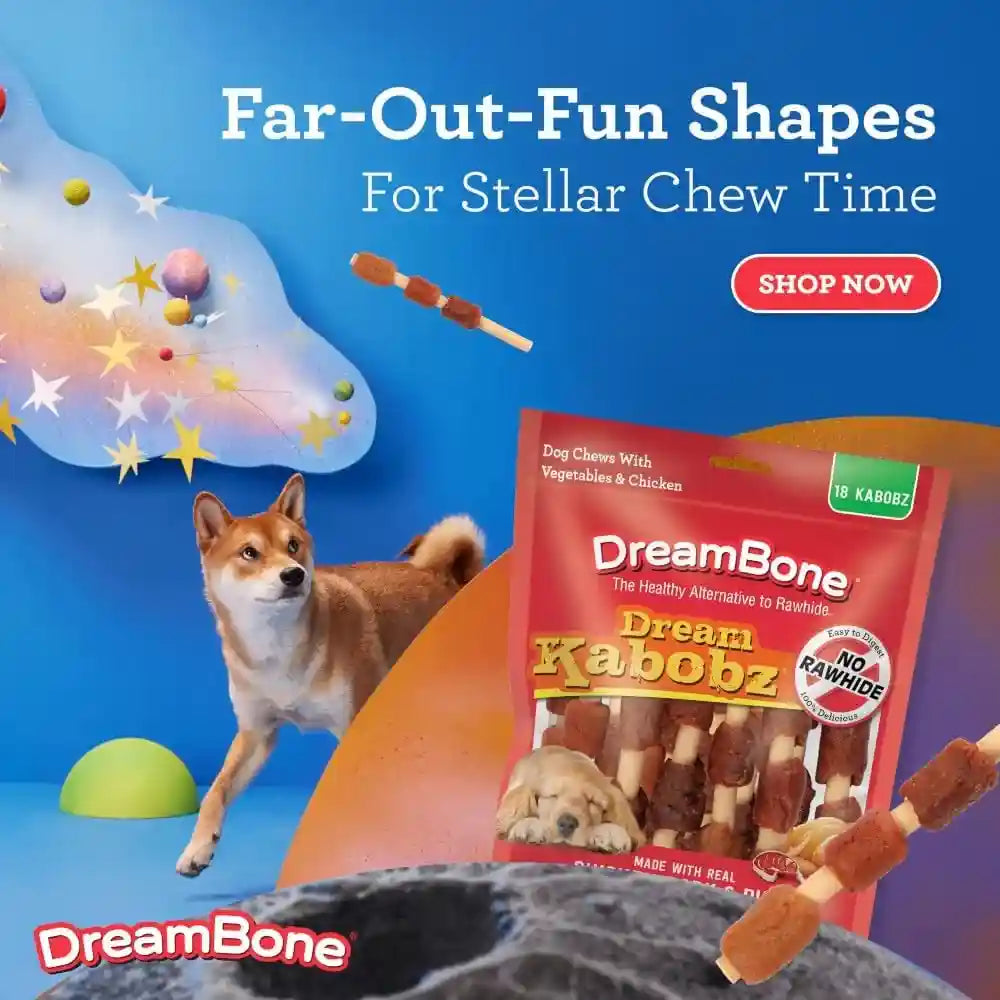 dreambone-kabobz-dog-treats-daily-rawhide-free-chew-digests-safely-and-completely-with-real-protein-chicken-duck-pork-and-veggies-18-count