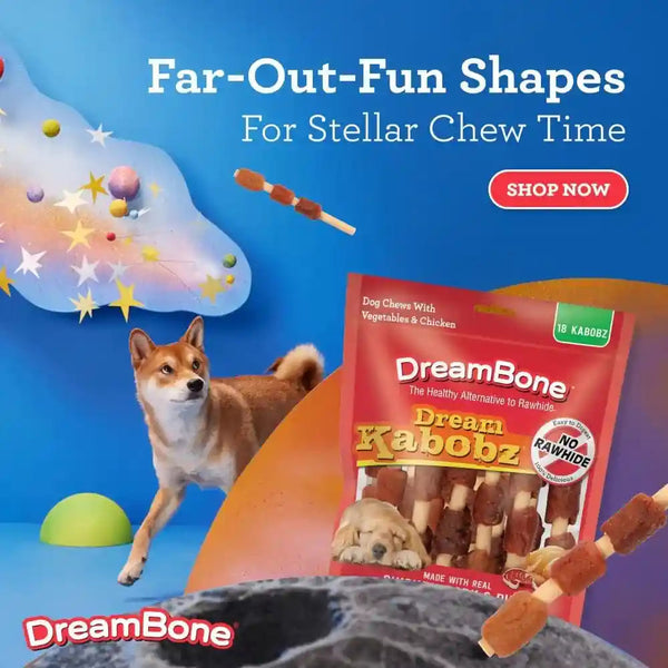 Dreambone Kabobz Dog Treats, Daily Rawhide-Free Chew, Digests Safely and Completely, with Real Protein, Chicken, Duck, Pork and Veggies, 18 Count6