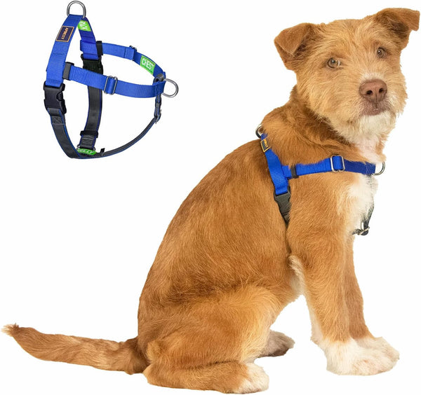 Freedom No Pull Dog Harness, Purple, Large | Designed for Hound Dog Train, Easy Walk with 2 Stainless D-Rings, Sewn-In Instructions Tags, 60-80 Lbs12