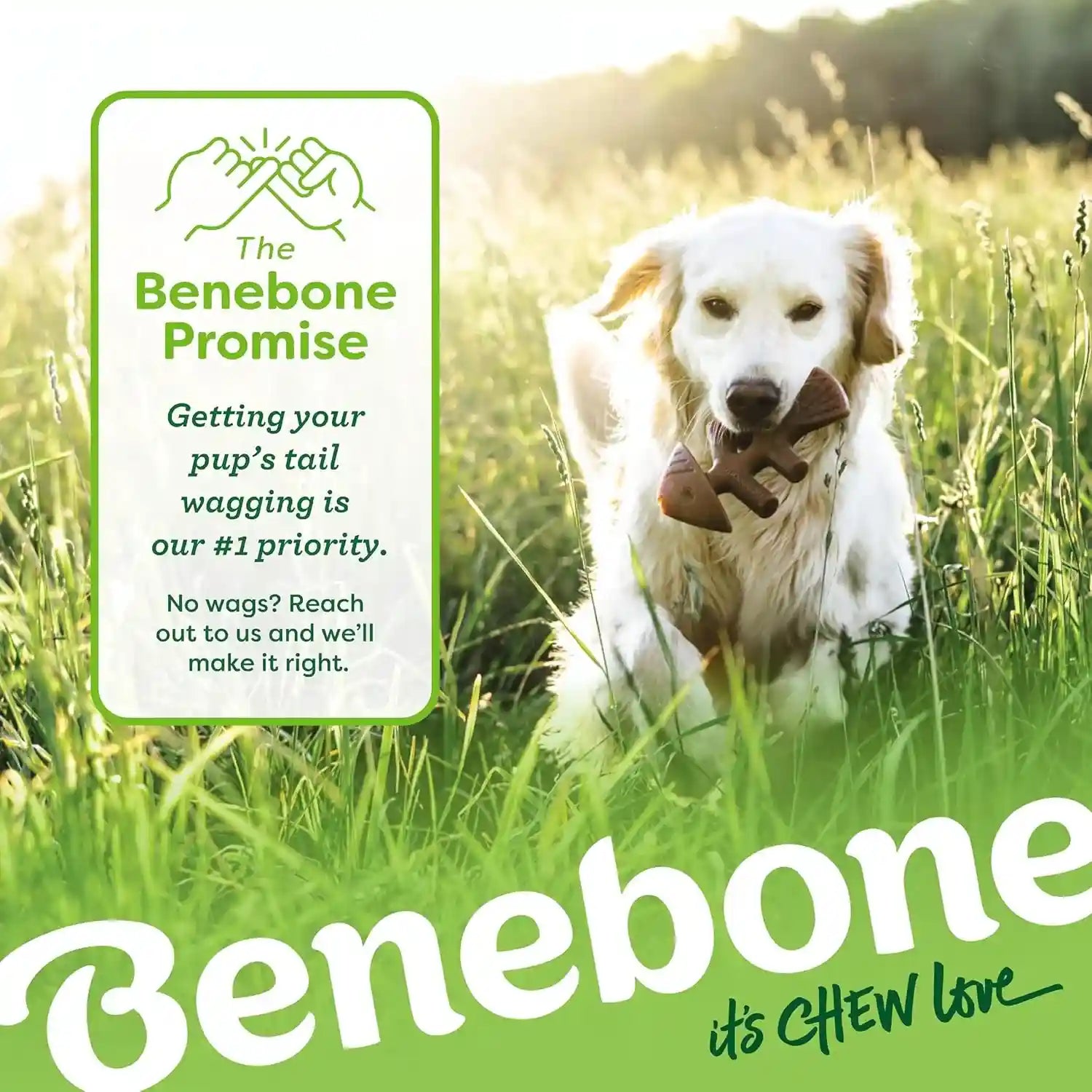 benebone-small-4-pack-dog-toys-for-aggressive-chewers-under-30-lbs