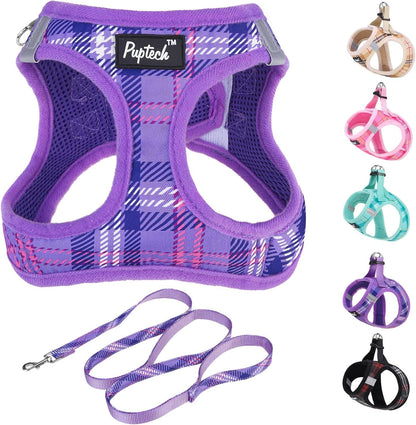 PUPTECK Dog Harness and Leash Set for Small Medium Dogs No Pull Step-In Soft Mesh Puppy Cat Vest Harnesses Reflective at Night, Green S23