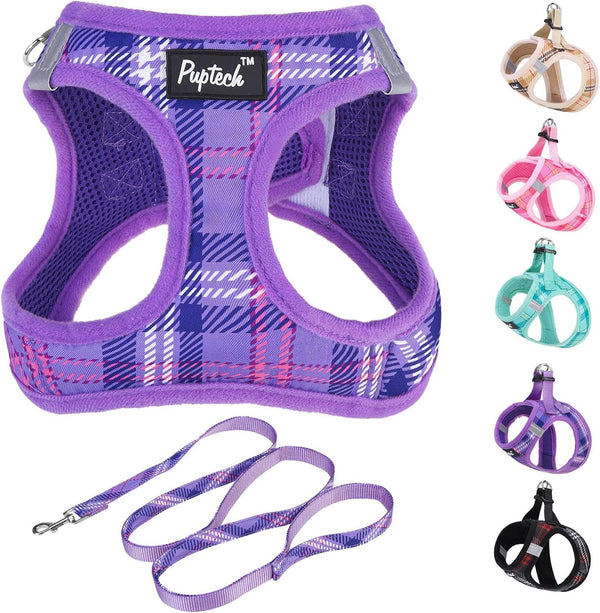 PUPTECK Dog Harness and Leash Set for Small Medium Dogs No Pull Step-In Soft Mesh Puppy Cat Vest Harnesses Reflective at Night, Green S23