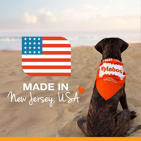 Nylabone Power Chew Original Bone Dog Chew Toys, Medium, 2 Count | Chicken and Bacon Flavor, Durable Chew Toys, Discourages Destructive Chewing, Long Lasting, for Dogs up to 35 Pounds10