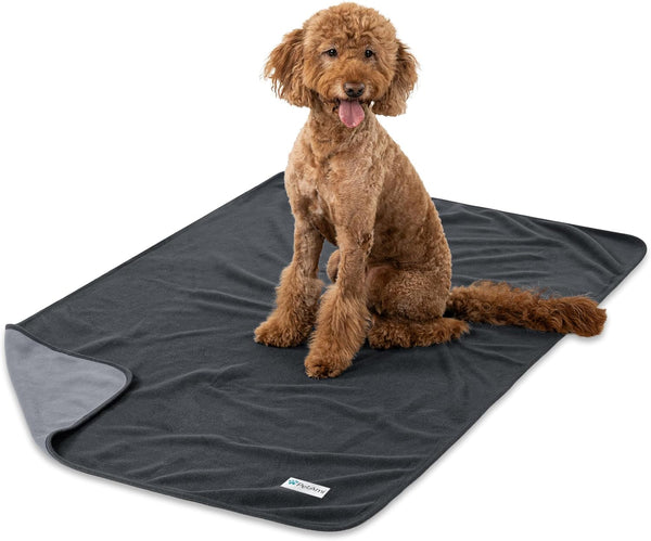 Petami Waterproof Dog Blanket for Couch, Pee Proof Reversible Cat Blanket for Sofa Bed Furniture Protector, Soft Fleece Washable Pet Throw for Dogs Cats Puppies Kittens, 40X60 Black Gray12
