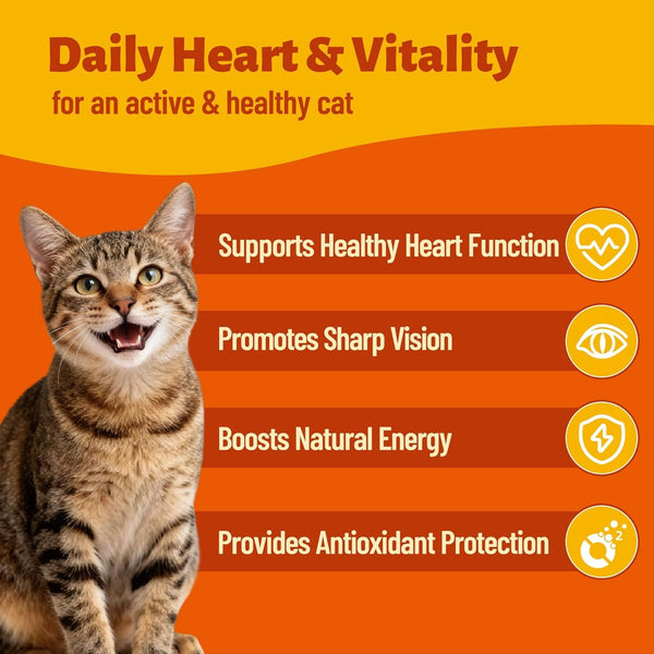 Taurine for Cats, with Coq10, L-Carnitine, Vitamins for Cats | Heart & Eye Health Cat Supplements | Suitable for Kittens, Adult & Senior Cats | Omega-3 to Nourish Skin & Coat | 7.76 Oz4