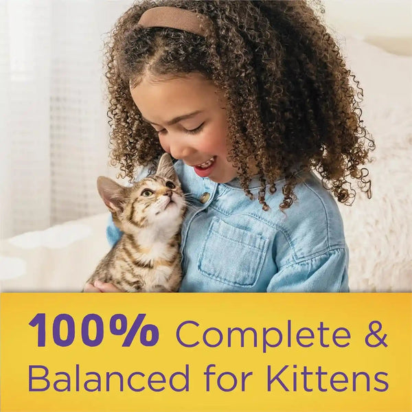 Purina Kitten Chow Year One Essentials with Real Chicken High-Protein Complete and Balanced Dry Kitten Food with Essential Nutrients - 14 Lb. Bag11