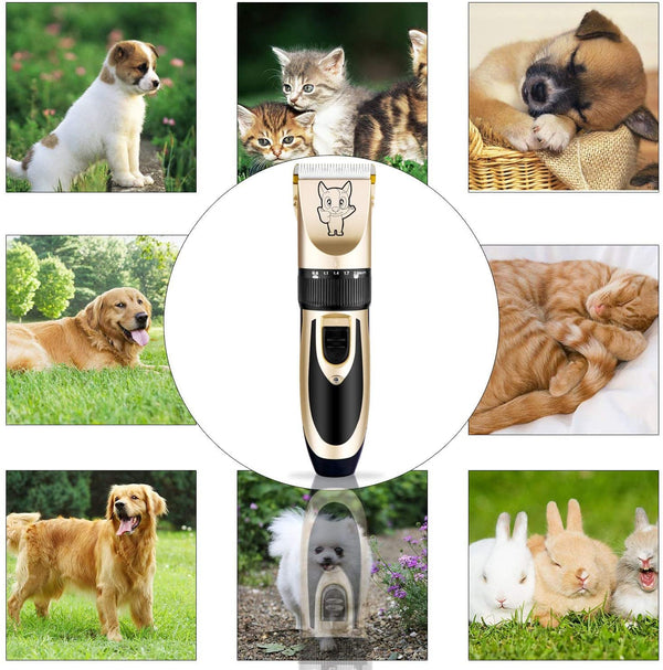 Highdas Dog Clippers for Grooming Low Noise, Cordless Electric Dog Grooming Kit Clippers Rechargeable, Quiet Dog Shaver, Pet Hair Trimmer Kit for Dogs & Cats (Gold)7