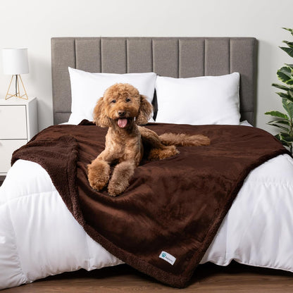 Petami Waterproof Dog Blanket for Couch, Extra Large 80X60, Pee Proof Sherpa Fleece Reversible Pet Throw, Furniture Protector for Bed Sofa Crate Kennel, Soft Washable Cover for Dog Cat, Grey Sherpa27