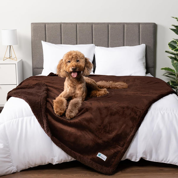 Petami Waterproof Dog Blanket for Couch, Extra Large 80X60, Pee Proof Sherpa Fleece Reversible Pet Throw, Furniture Protector for Bed Sofa Crate Kennel, Soft Washable Cover for Dog Cat, Grey Sherpa27