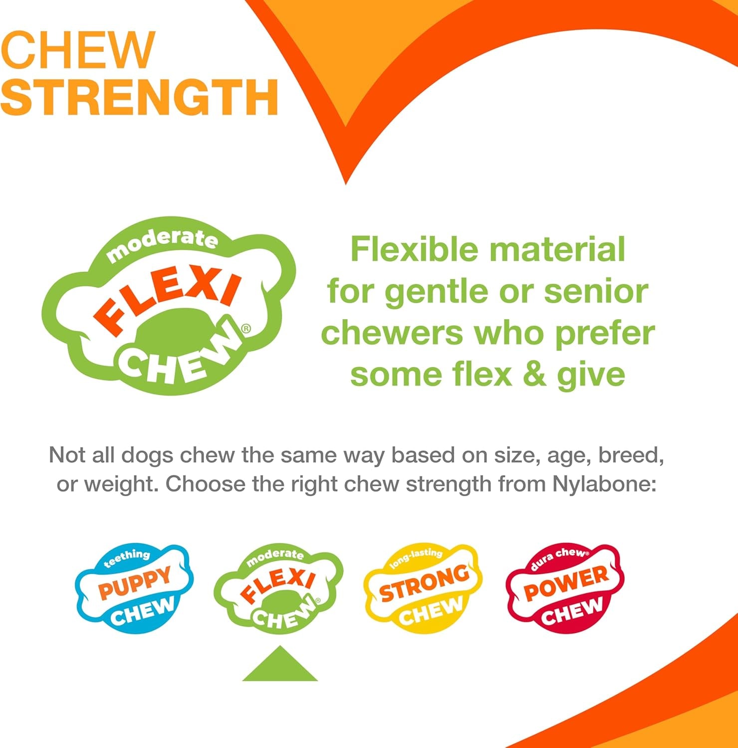 nylabone-flexi-chew-tiny-gumabone-dog-chew-toys-xx-small-2-count-peanut-butter-bacon-flavor-x-small-breeds-flexible-material-fill-with-treats-gentle-on-teeth-for-dogs-up-to-15-lbs