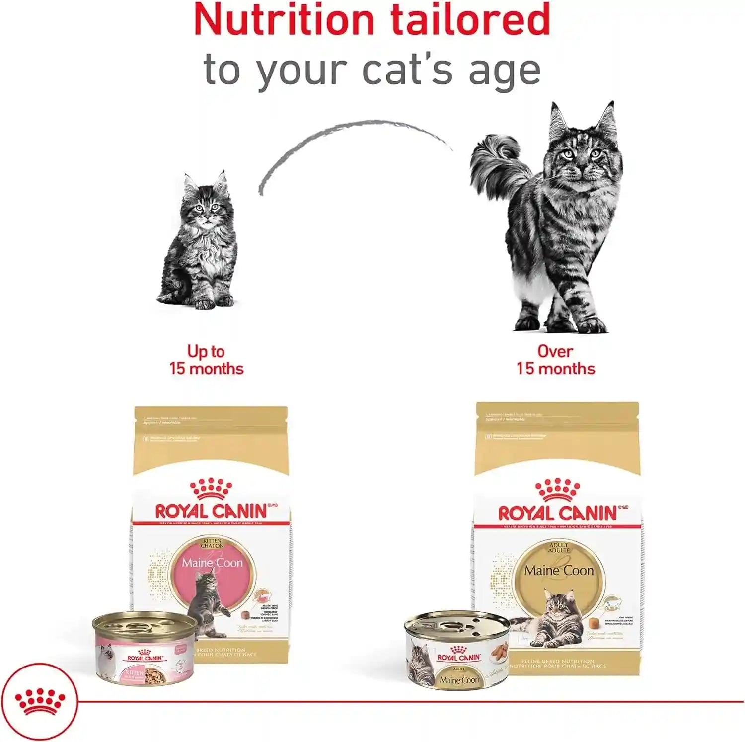 royal-canin-feline-breed-nutrition-maine-coon-adult-dry-cat-food-6-lb-bag