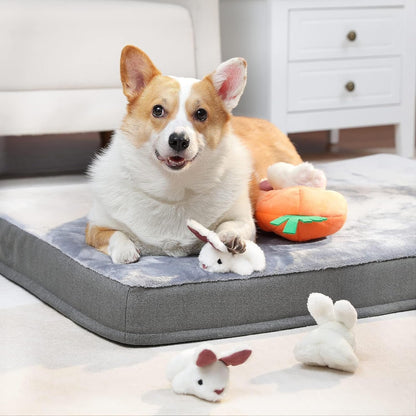 Amazon Basics Interactive Hide and Seek Squeaky Dog Plush Toy with Squeaker for Small Dogs, Rabbit and Carrot, Orange and White, 5-Pack8