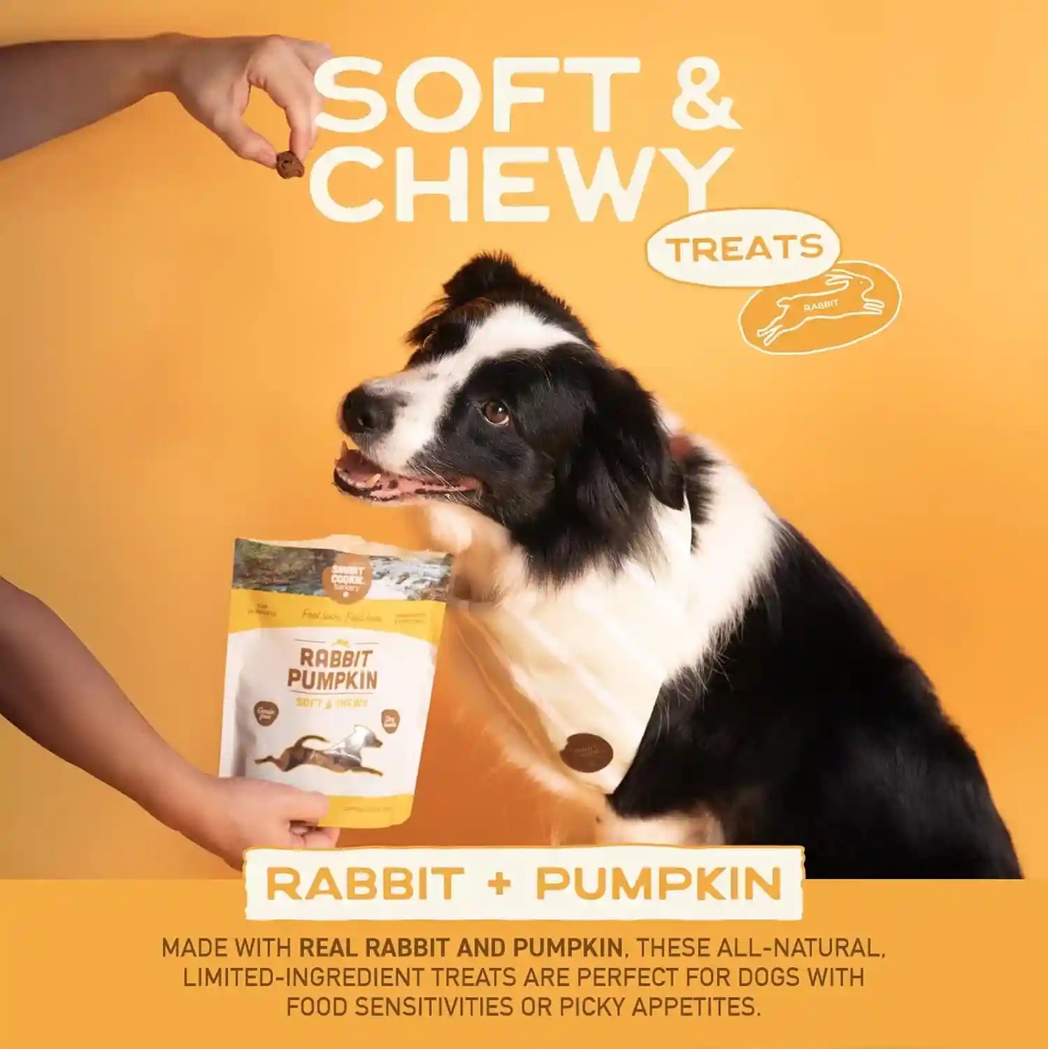 smart-cookie-healthy-soft-dog-treats-rabbit-pumpkin-grain-free-limited-ingredient-training-treats-for-dogs-with-sensitive-stomach-allergies-natural-novel-protein-made-in-the-usa-5oz