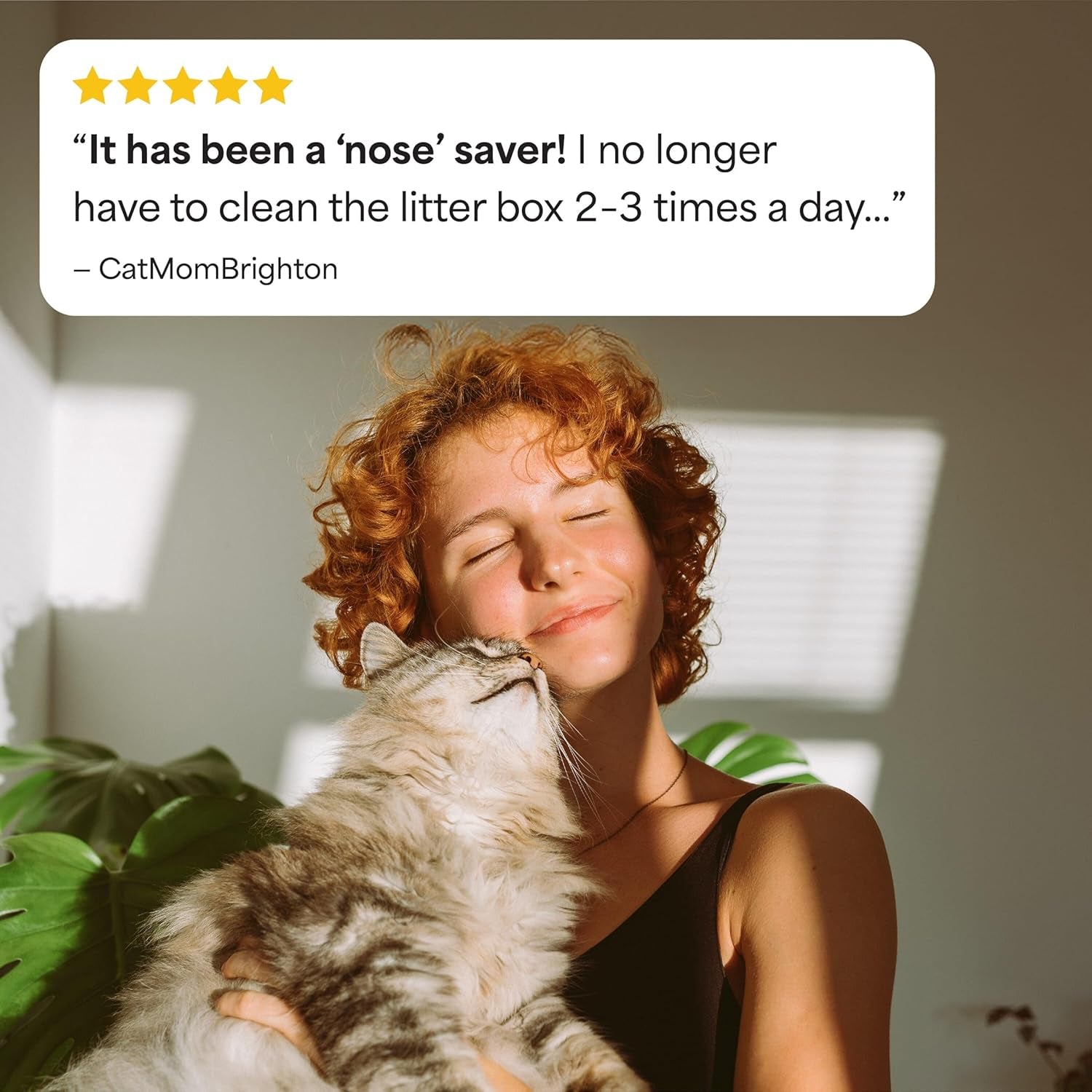 fresh-step-advanced-multi-cat-clumping-litter-with-febreze-freshness-low-dust-control-with-ammonia-block-tech-compatible-in-automatic-litter-boxes-37-lb-2-x-18-5-lb-odor-shield-with-ammonia-block-technology-low-dust-multi-cat-compatible-with-most-automatic-litter-boxes