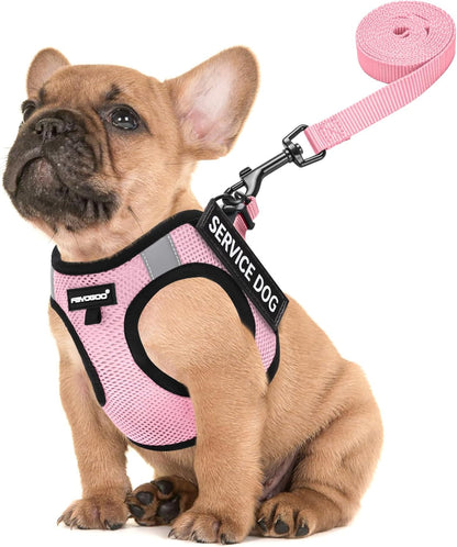 FAYOGOO Service Dog Vest for Small Dogs - Lightweight Dog Harness with 6PCS Removable Patches - Puppy Harness and Leash Set for Walking,Training9