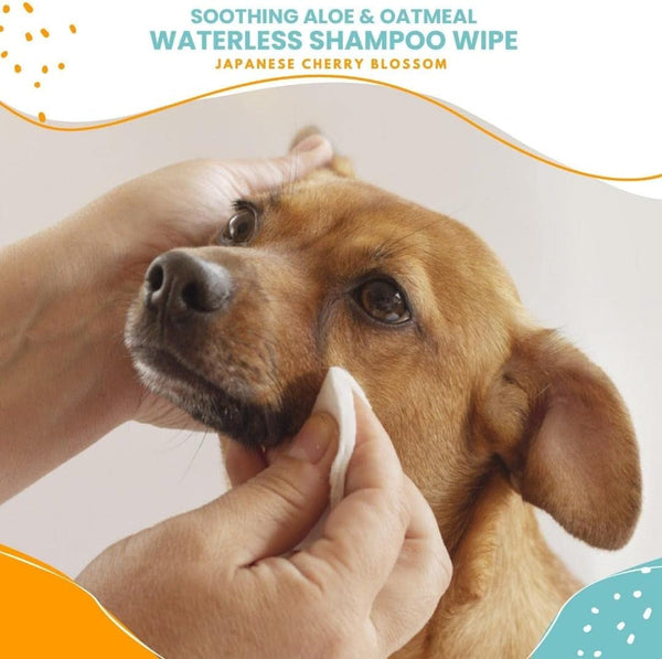 Nootie Waterless Shampoo Wipes for Dogs & Cats - Long Lasting Japanese Cherry Blossom Fragrance - Sold in over 10,000 Vet Clinics and Pet Stores Worldwide, Made in USA - 70 Count3